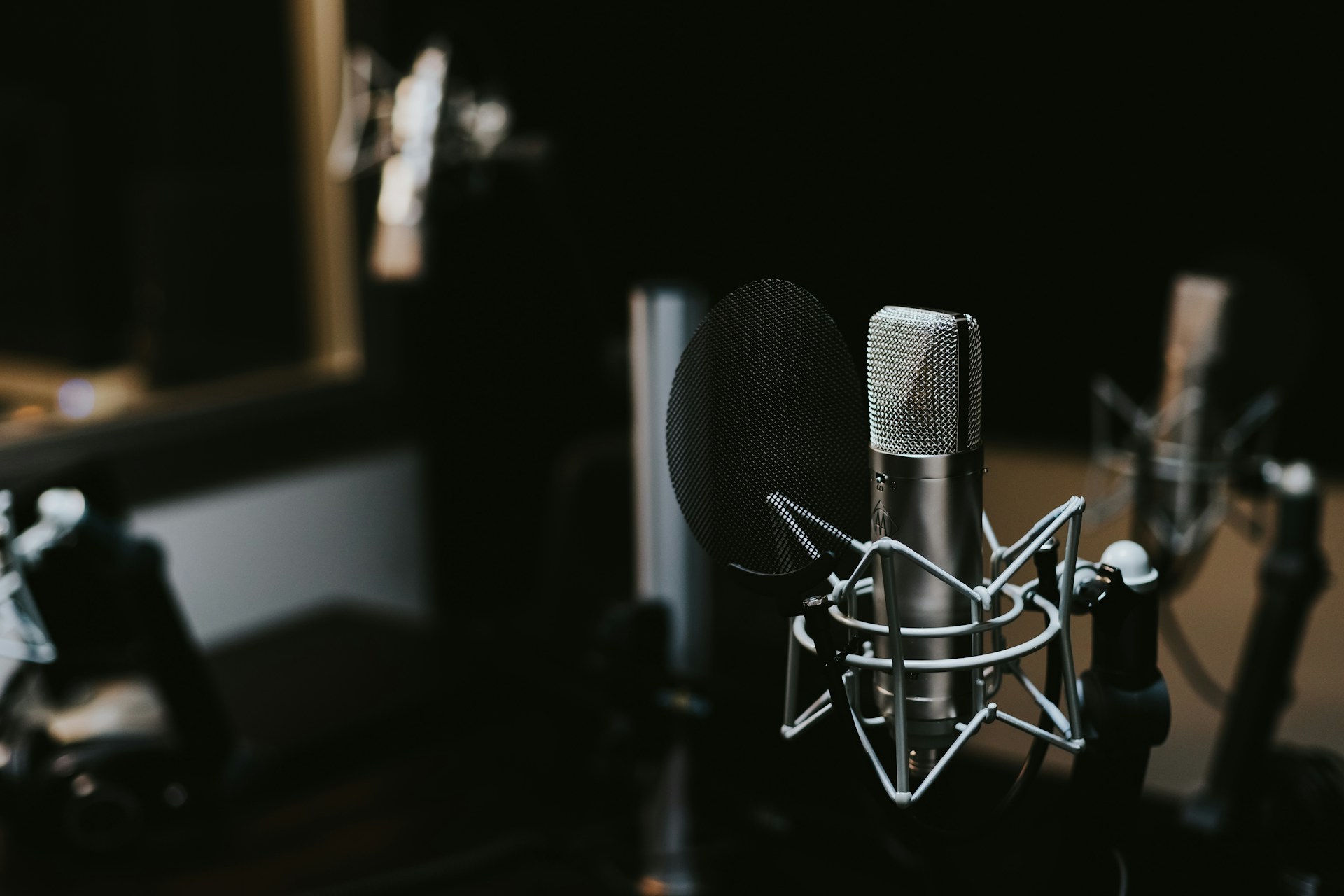 Studio condenser microphone with a pop filter